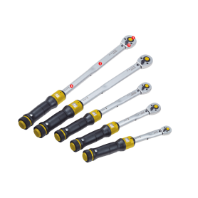 MicroClick da 60 a 320Nm